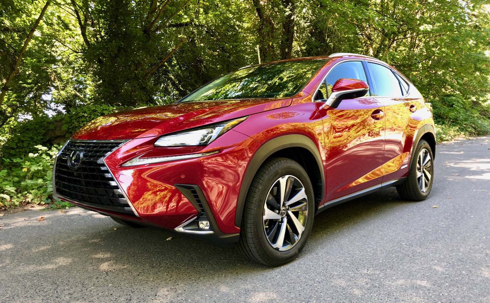 2020 Lexus NX 300h Review: A fuel efficient luxury crossover - The Torque  Report