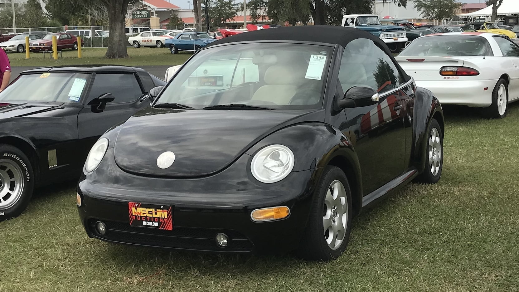 2003 Volkswagen Beetle Convertible | L244 | Kissimmee 2019