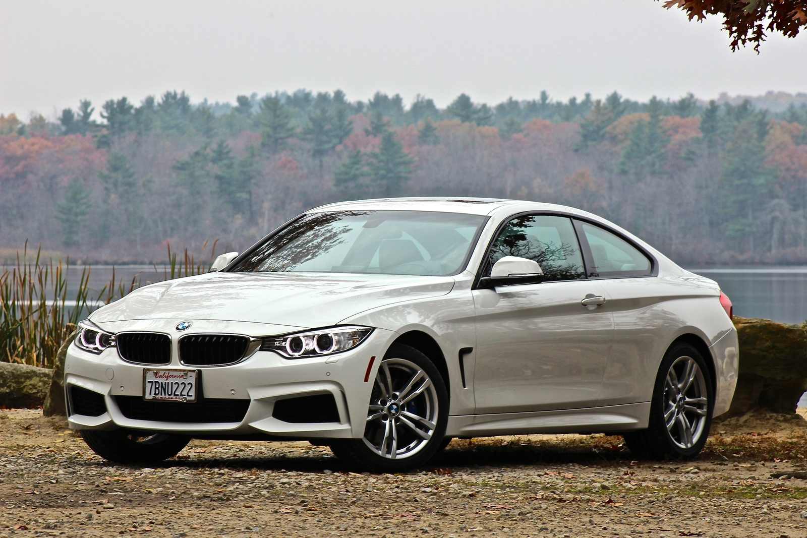 2014 BMW 4 Series: Prices, Reviews & Pictures - CarGurus