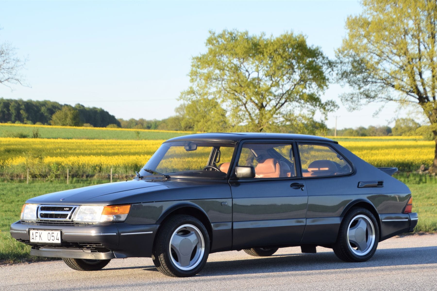 Missing Saab? Take your pick of this giant, 30-car collection - Hagerty  Media