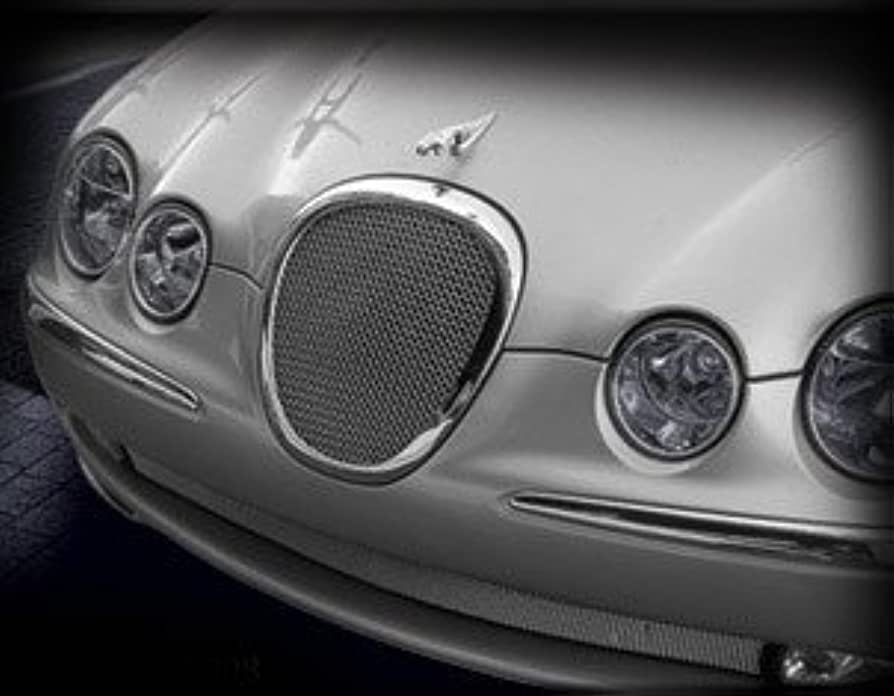 Amazon.com: Lower Bumper Mesh Grille Grill for Jaguar S-Type 1999 2000 2001  2002 2003 2004 Bright Stainless : Automotive