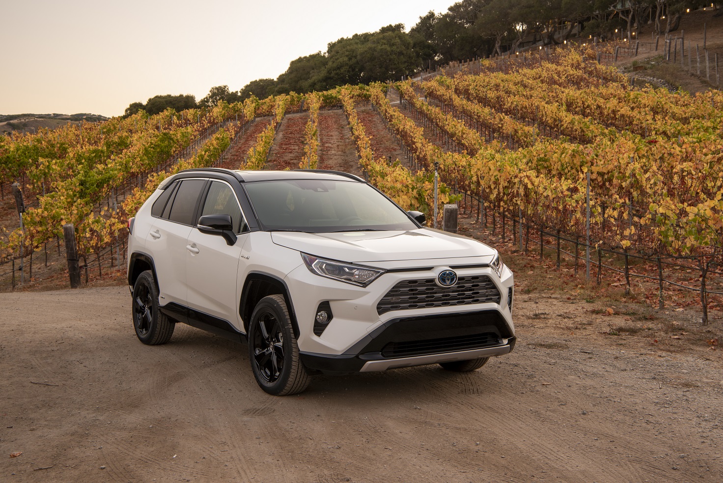 Electrify Your Life With The All-New 2019 Toyota RAV4 Hybrid – the advanced  compact SUV at an attractive price | Toyota Canada