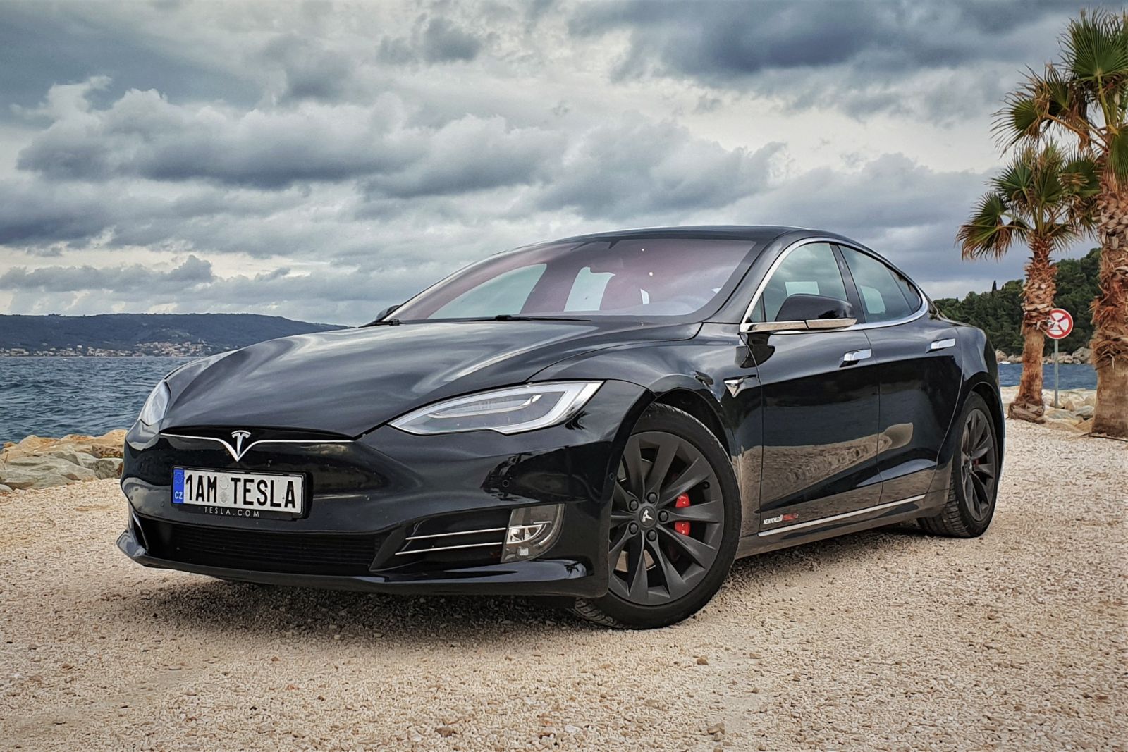 Tesla Model S Owner Review - Tesla Model S Performance - 800 horsepower and  80,000 km almost free | myEVreview