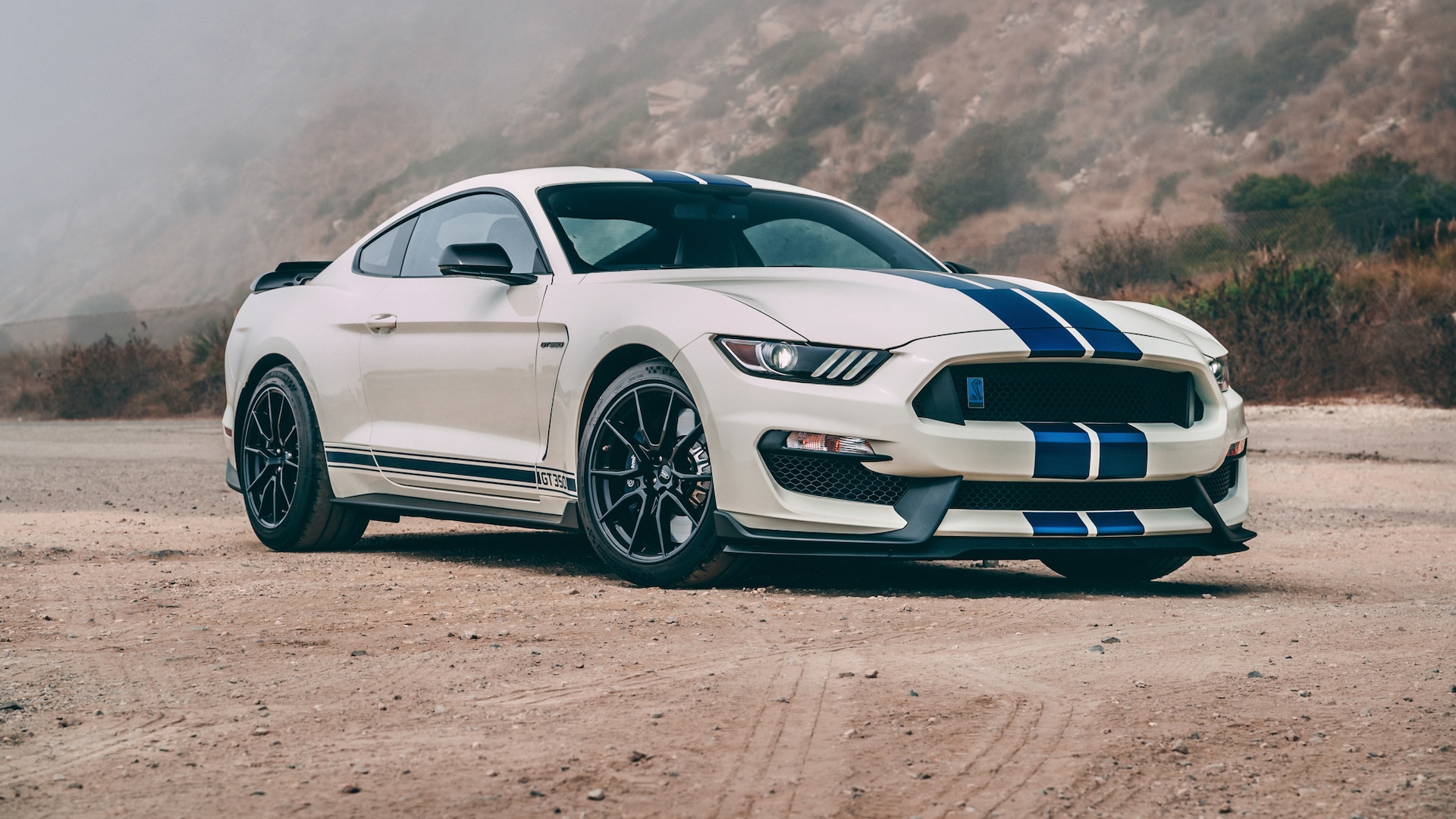 You Can Pay to Prove Your 2015–19 Ford Mustang Shelby GT350 Is Real
