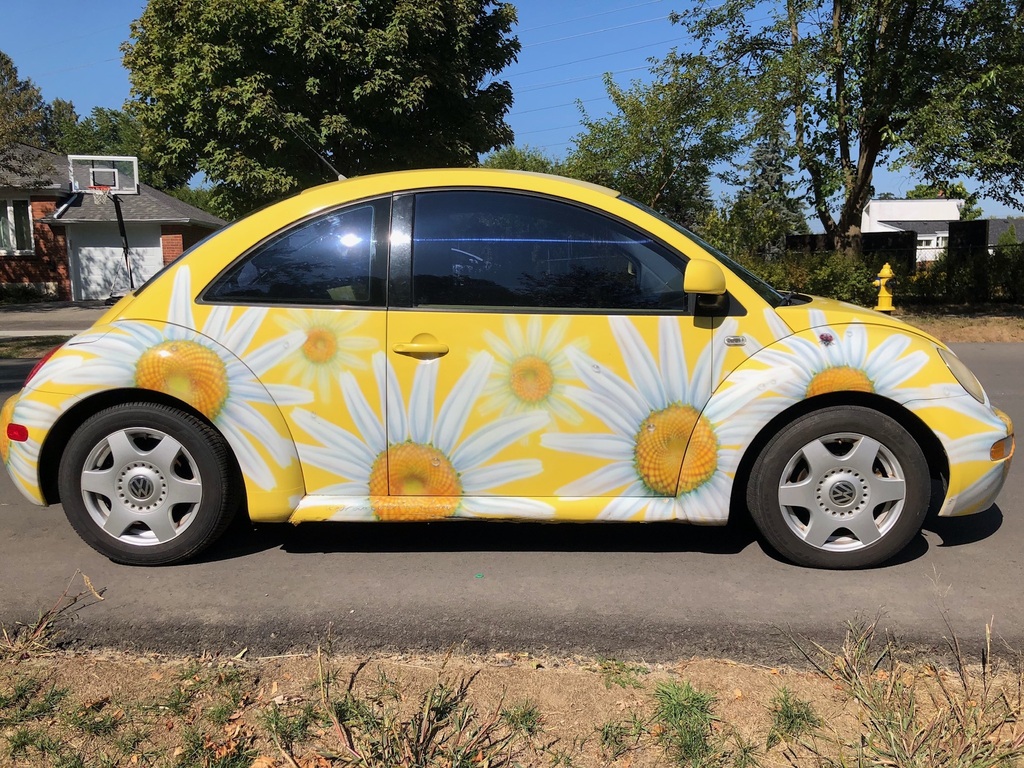 Find of the Day – 'Flower Power' 1999 VW Beetle – AutoLobotomy