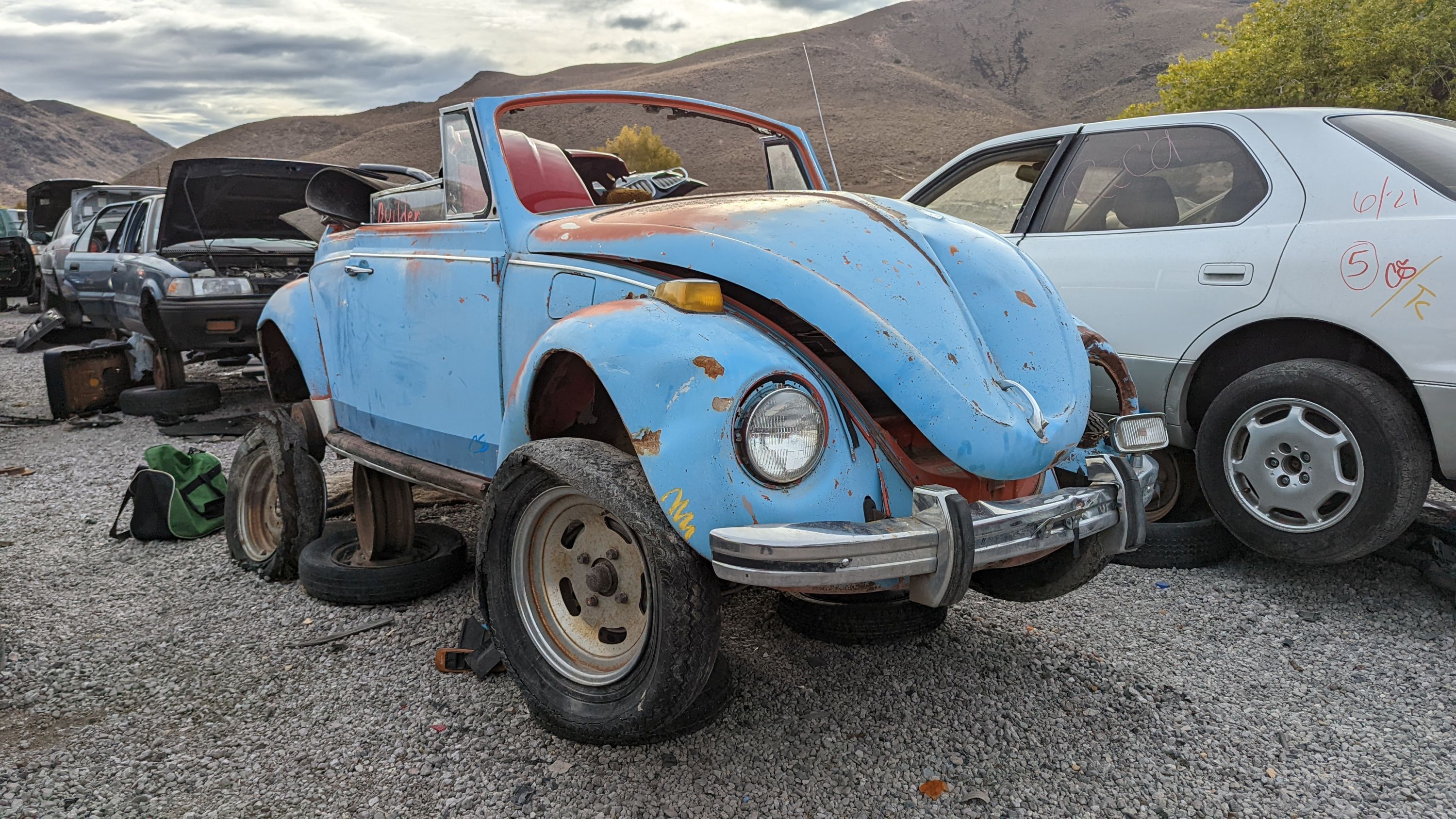 Volkswagen Beetle Hatchback: Models, Generations and Details | Autoblog