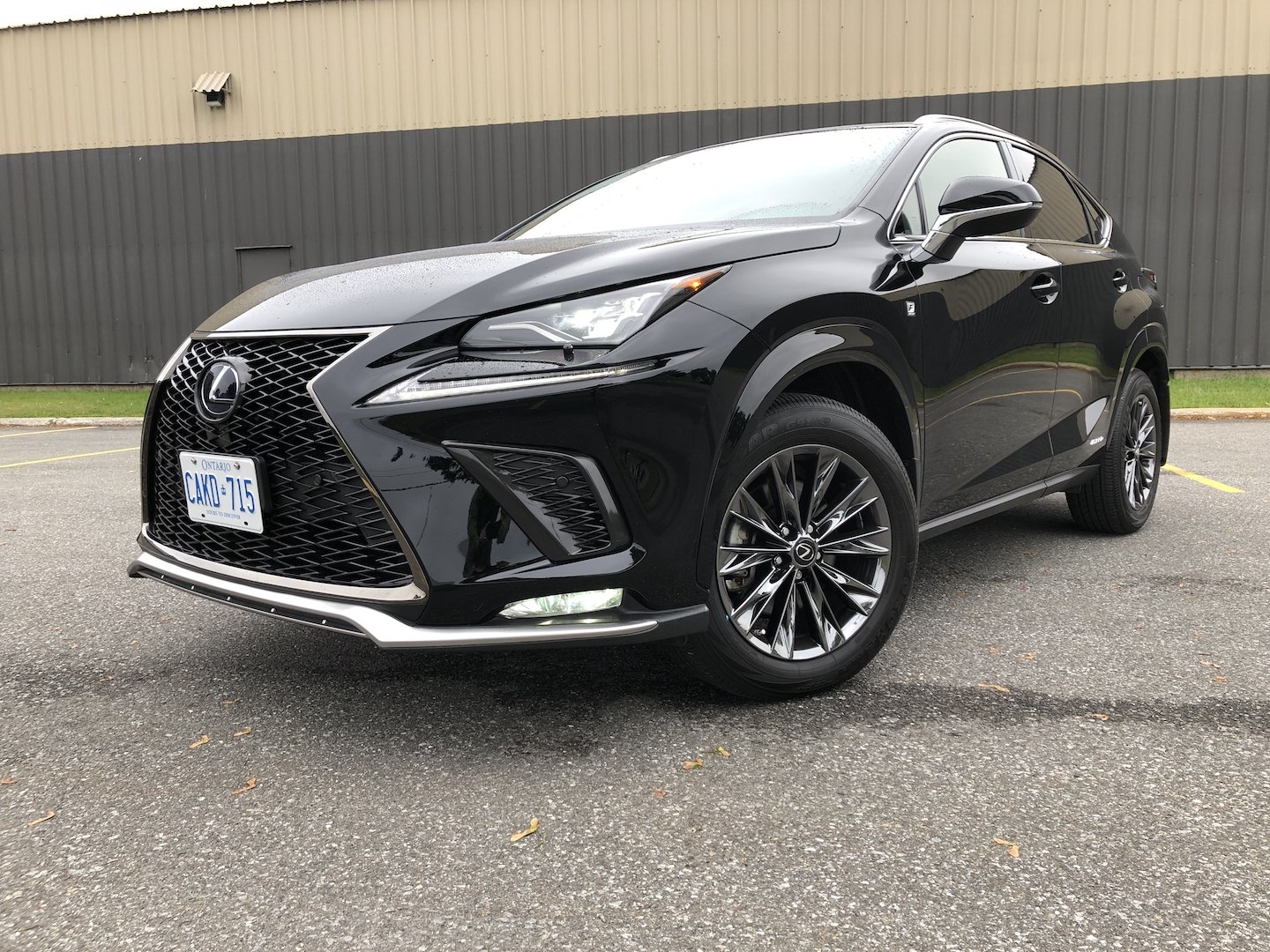 Should You Buy a 2021 Lexus NX? - Motor Illustrated