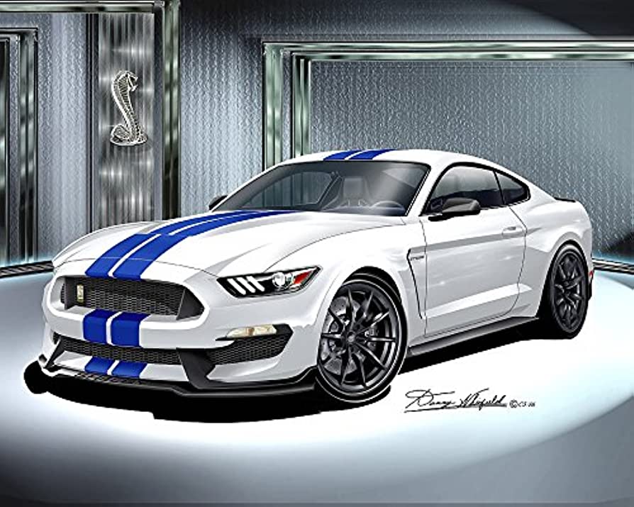 Amazon.com: 2015-2016 Ford Mustang Shelby GT350 - Oxford White- Art Print  Poster by Artist Danny Whitfield - Size 20 x 24: Posters & Prints