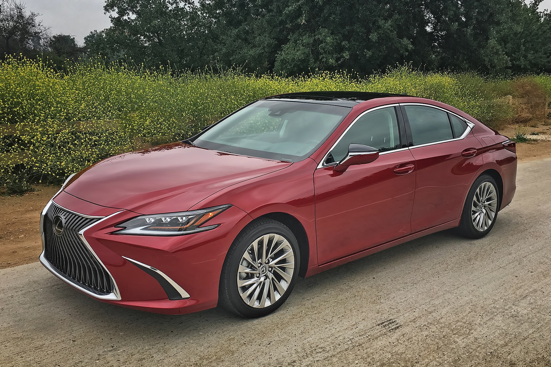 2019 Lexus ES350 Review: Reveling in the Sound of Silence