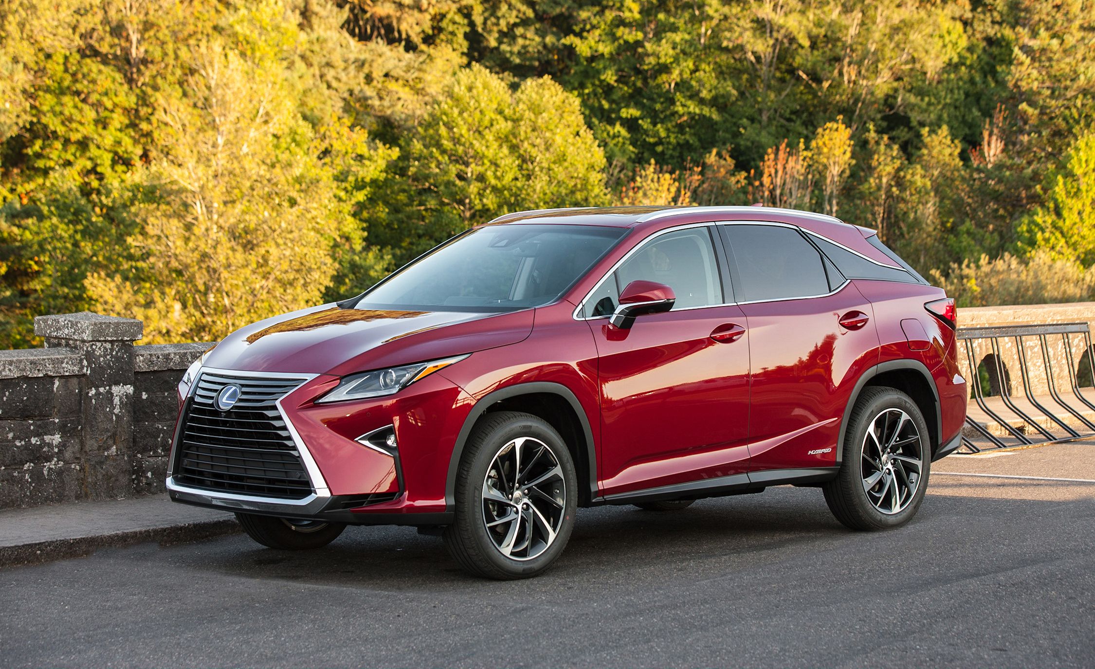 2019 Lexus RX Review, Pricing, and Specs