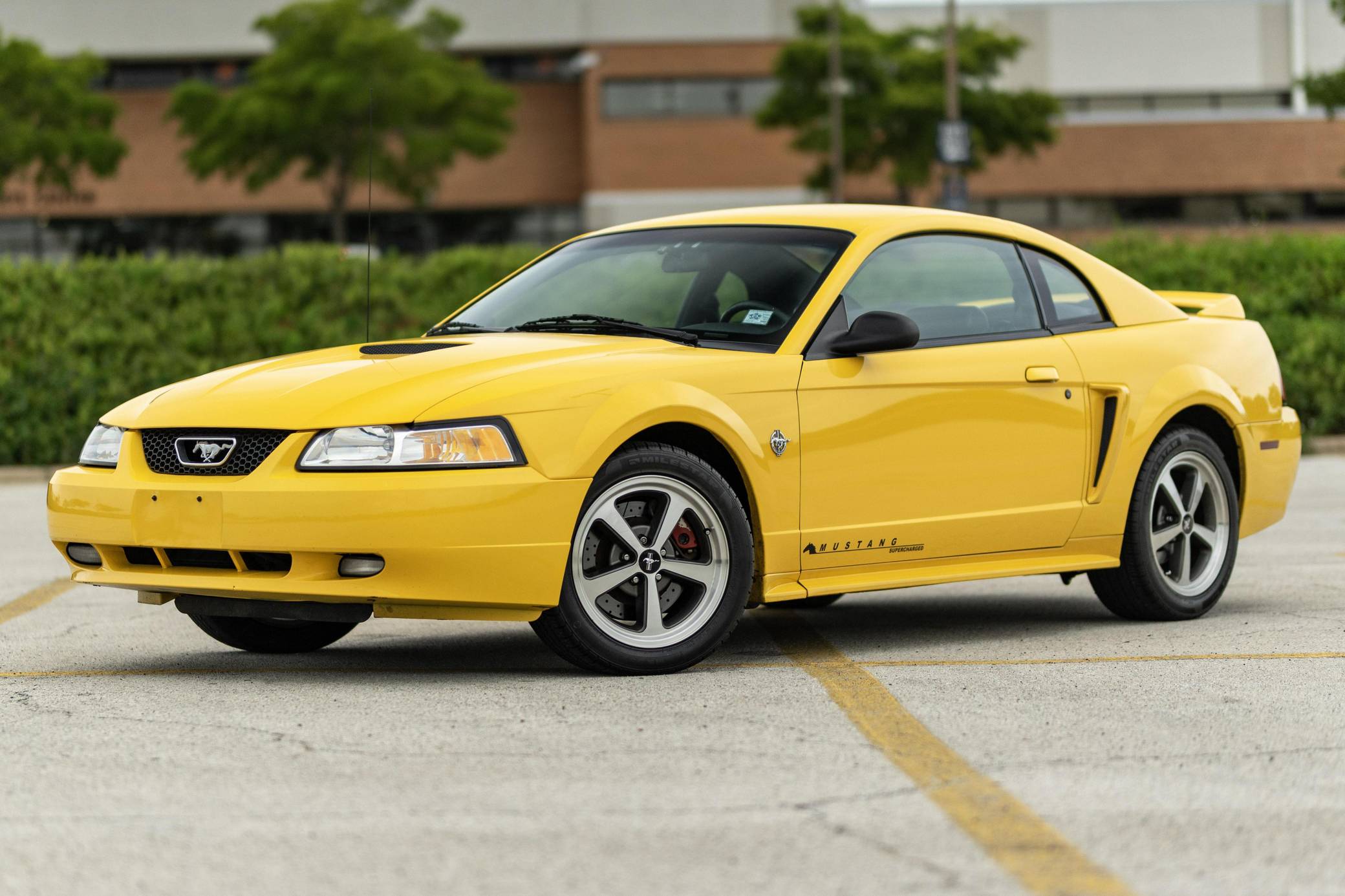1999 Ford Mustang GT Coupe for Sale - Cars & Bids