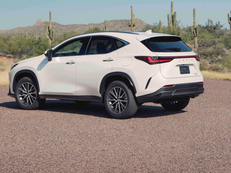 2022 Lexus NX 250 Review: From benchwarmer to starting lineup - The Torque  Report